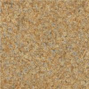 Gạch Trường Thịnh WARM STONE LT8Y123A